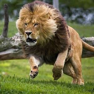 Meet your Posher, Abel